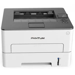 Замена прокладки на принтере Pantum P3300DN в Москве